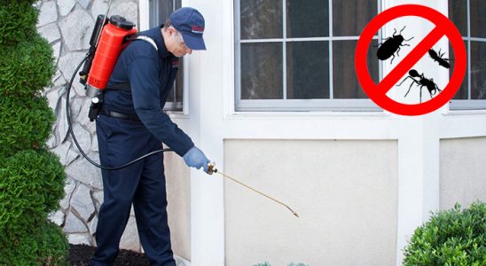 Evka 7 Kemirgen İlaçlama böcek ilaçlama ve haşere kontrolü — ilaclama-tr.com